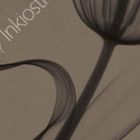 INKXY1302