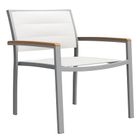 Silver/white/teak