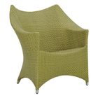 Bamboo Green
