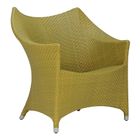 Bamboo Green