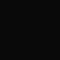 RAL 9005 Black