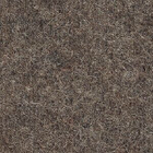 D 508