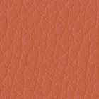 C 43F