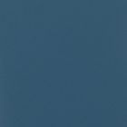 Duck Blue