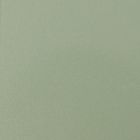 Menthol Chrome