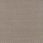Cat4 Rubelli Broderie Taupe