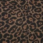 Camel Brown Bronze