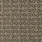Camel Brown Bronze