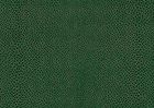 Green Manta – 569 A