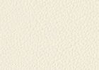 Bianco Latte – 001 C