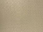 Camell w – 575G56 B