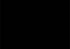 003004