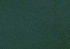 Verde Pino – 563 C (M)