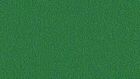 0551 Gras