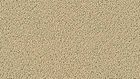 7704 Stone