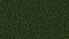 6874 Evergreen