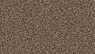 2155 Taupe