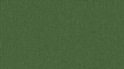 0919 Gras