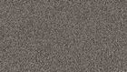 1341 Granite