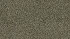 1361 Cornfield