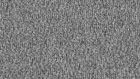 1003 Basalt