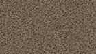 2155 Taupe