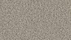 2154 Pebble