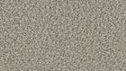 2154 Pebble