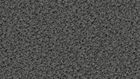 2156 Shadow