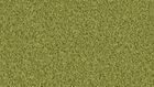 1401 Pesto