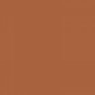 Matt lacquer - Burnt Orange (NJ)