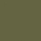 Matt lacquer - Olive Green (NV)