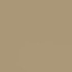 Matt lacquer - Beige (LE)
