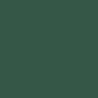 Matt lacquer - Pine Green (LP)