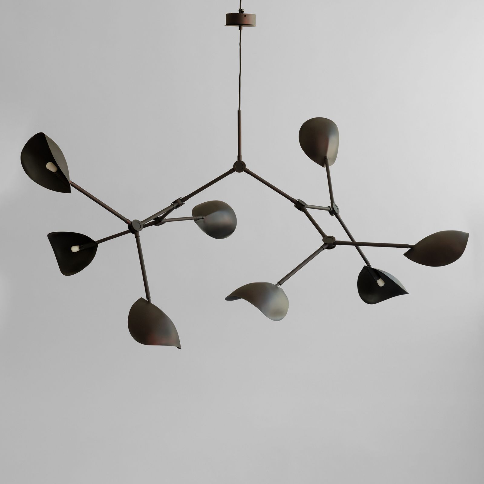 Stingray Chandelier, Grande - Burned Black (5m) by 101 copenhagen