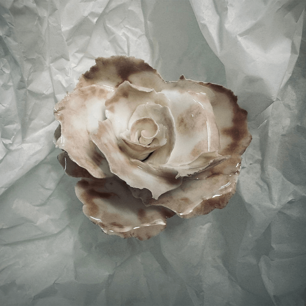 Rose 21 – Medium by 1882 Ltd