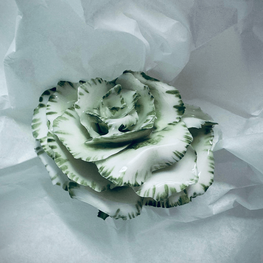 Rose 6 – Large by 1882 Ltd