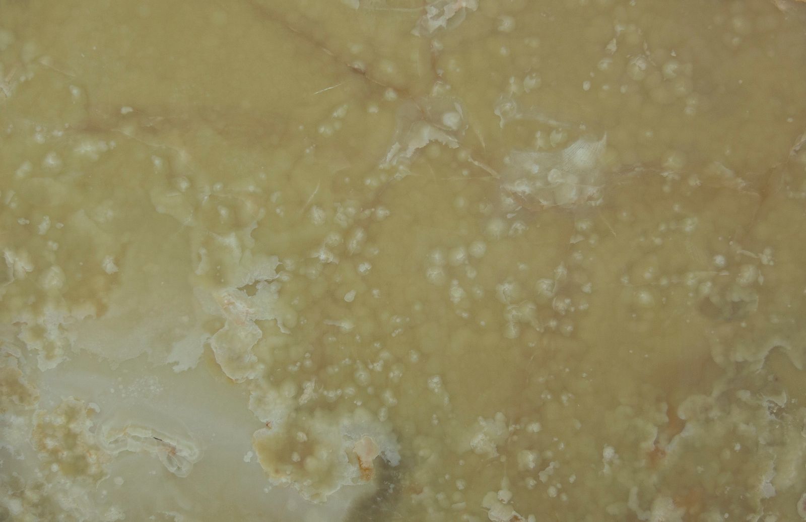 White Cream Onyx by ABC Worldwide Stone