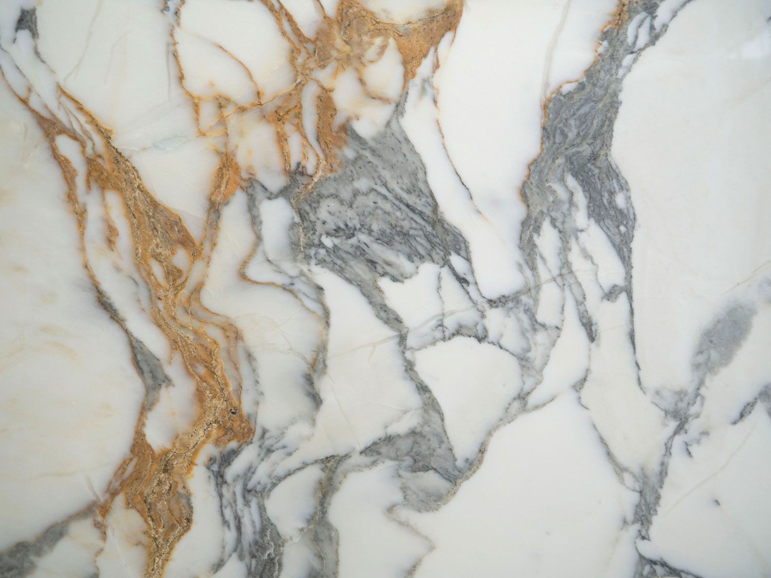 Arabescato Antico by ABC Worldwide Stone