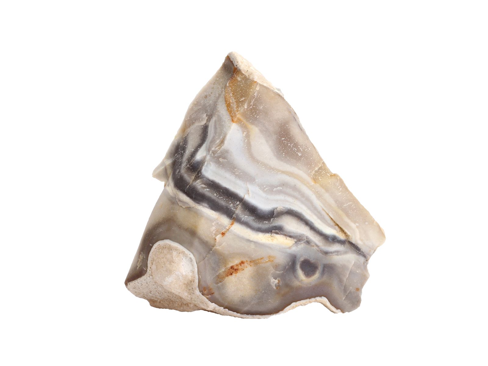 Jasper Shellflint by ABC Worldwide Stone