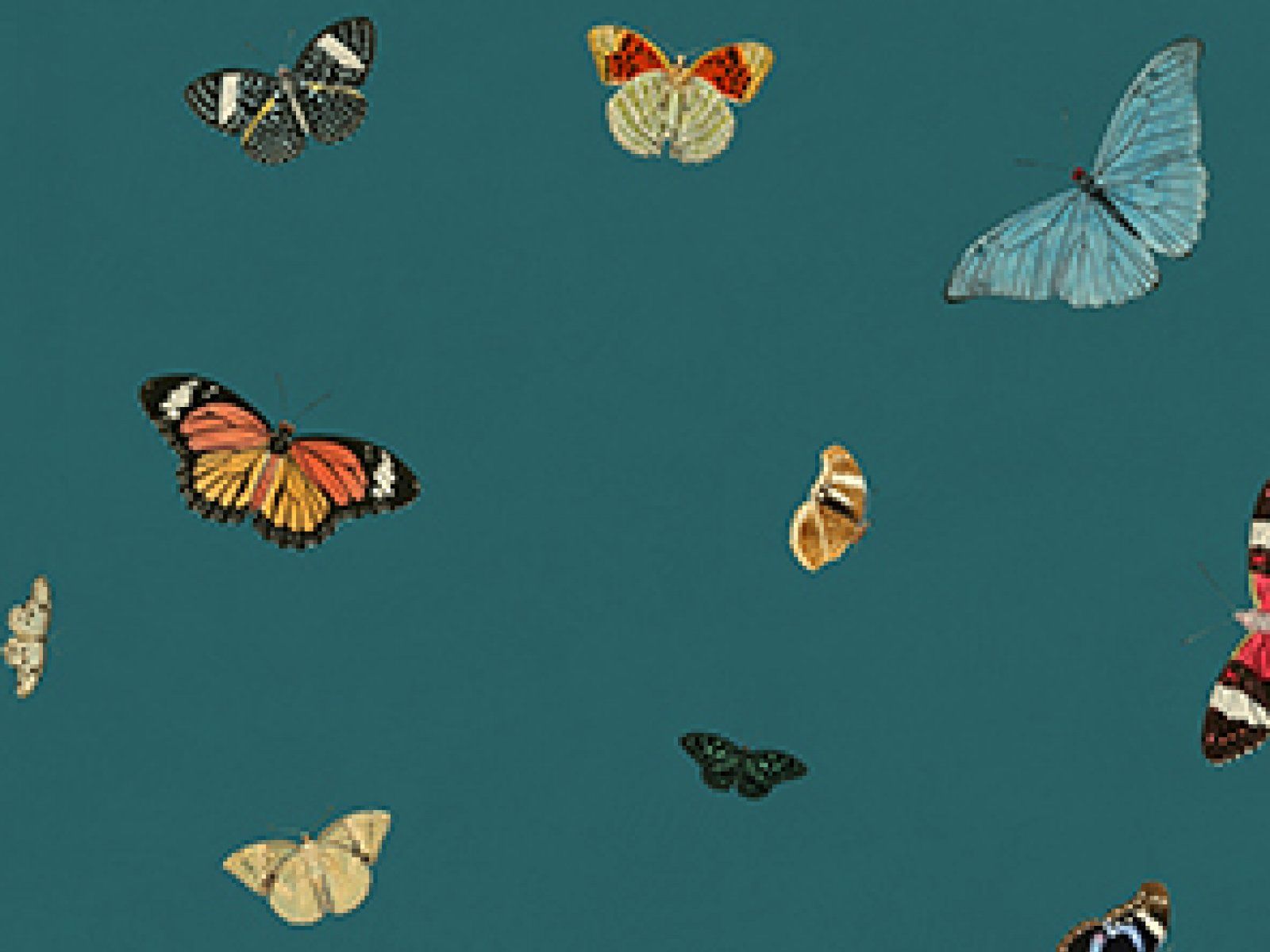 FEATHERS / Art. farfalle-Teal by AGENA