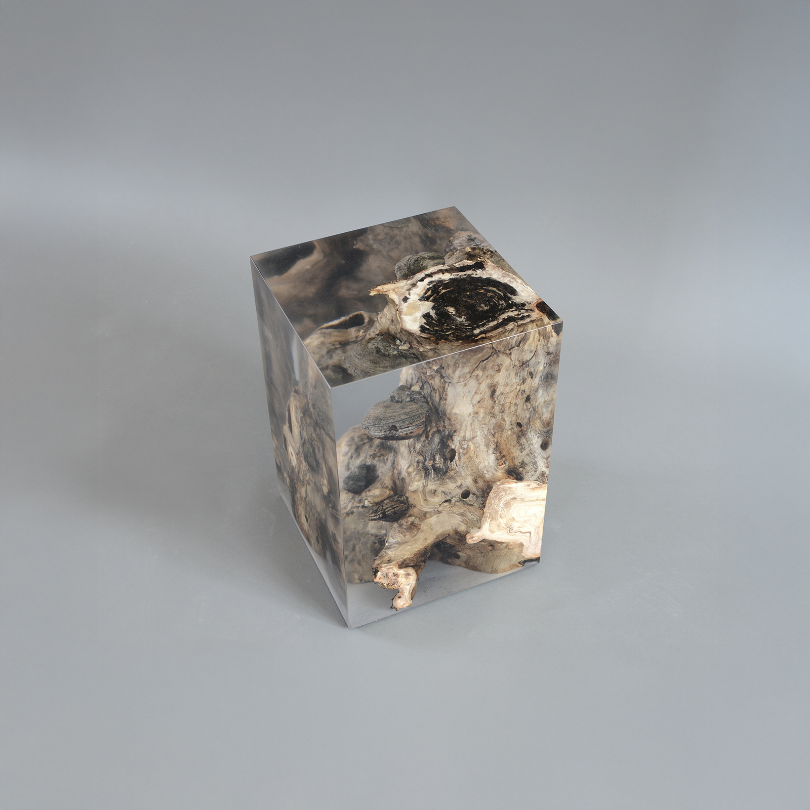 FUNGI Stool by Alcarol
