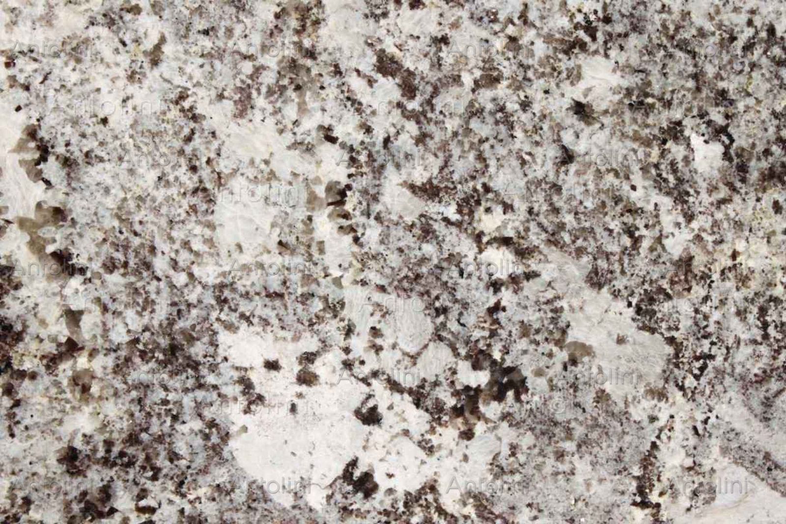 Alaska White original by Antolini