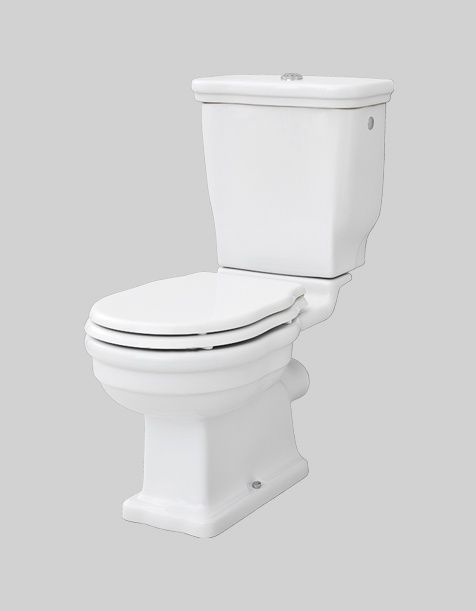 Hermitage Hev008 Sanitary Floor Close Coupled S P Trap by Artceram