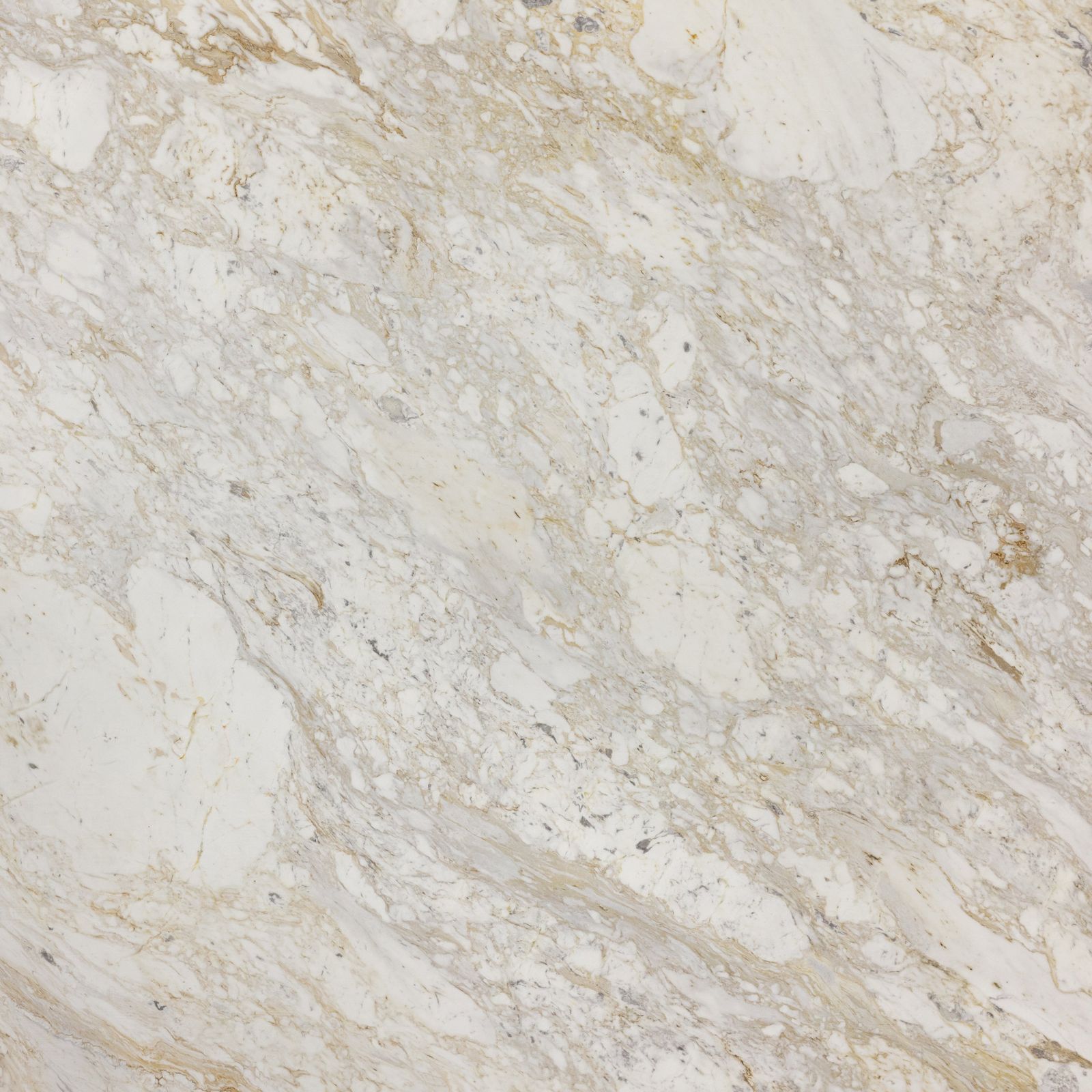 Arabescato D'oro Marble Slab 3/4" Honed Stone by Artistictile