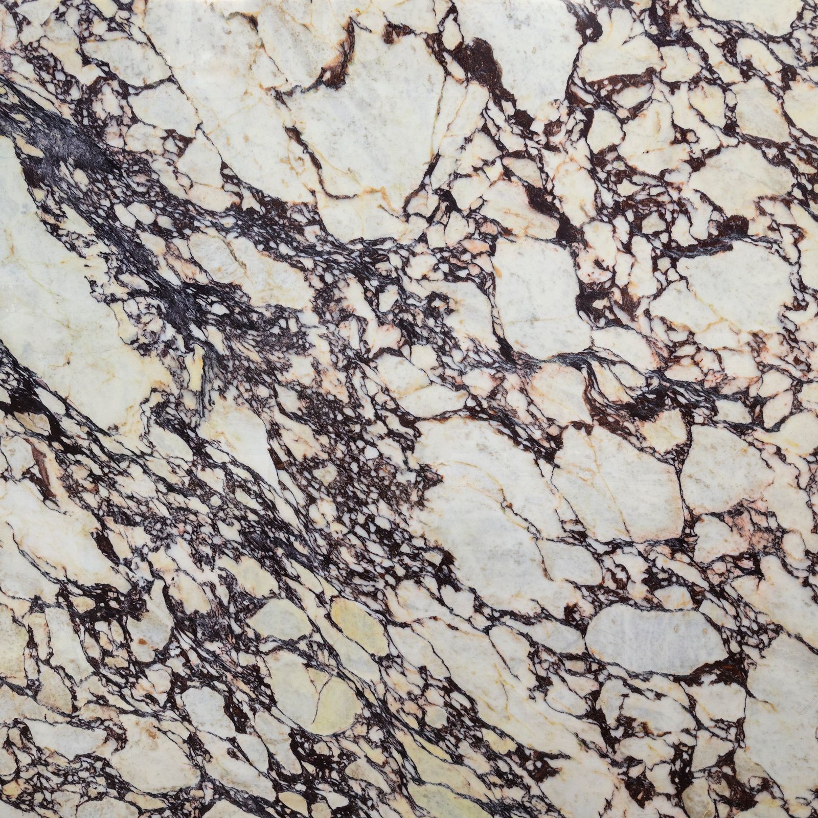Calacatta Viola Marble Slab Stone by Artistictile