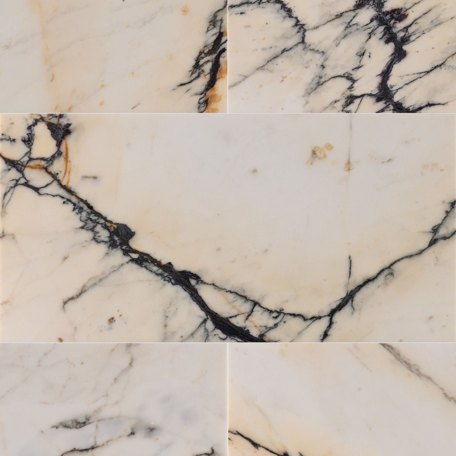 Paonazzo Marble Tile Honed 12" x 24" x 3/8" Stone Micro-Beveled Edge by Artistictile