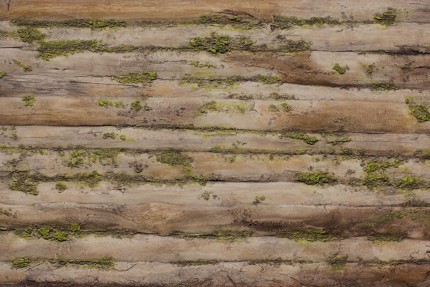 Baobab Moss by Artstone Panel Systems