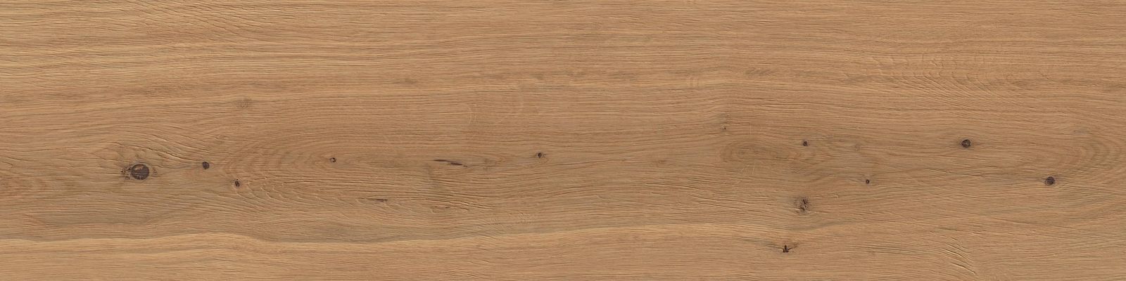 Log Deep Oak Forest Outdoor Sensitech by Atlas Concorde