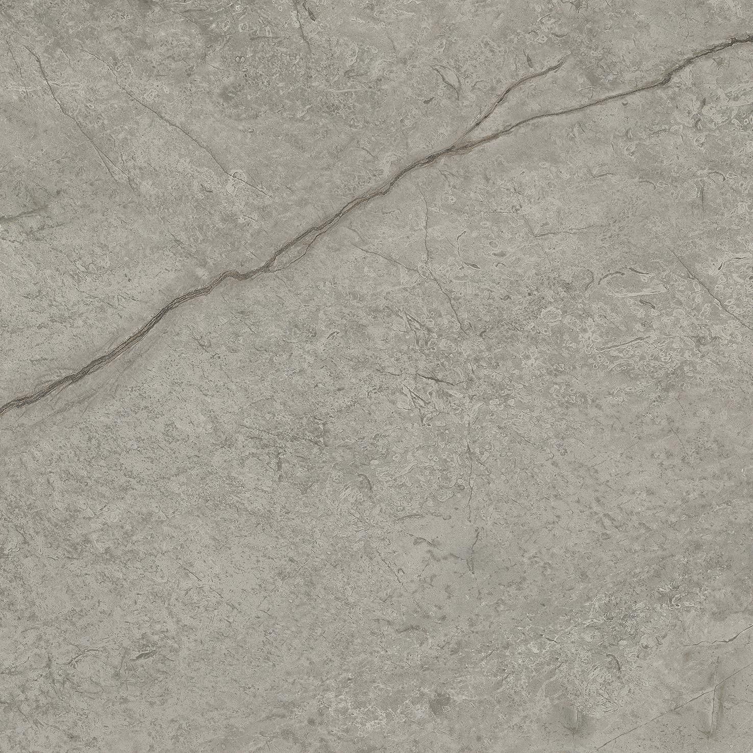Marvel Meraviglia Silver Majestic Matte Sensitech by Atlas Concorde